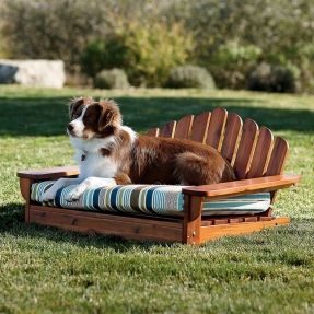 a brown and white dog laying on top of a wooden chair in the grass next to trees