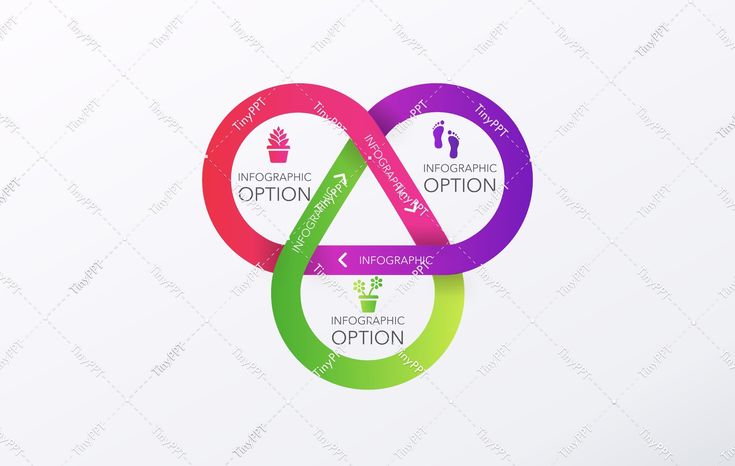 three circular options with arrows pointing to each other and the words information option in different colors