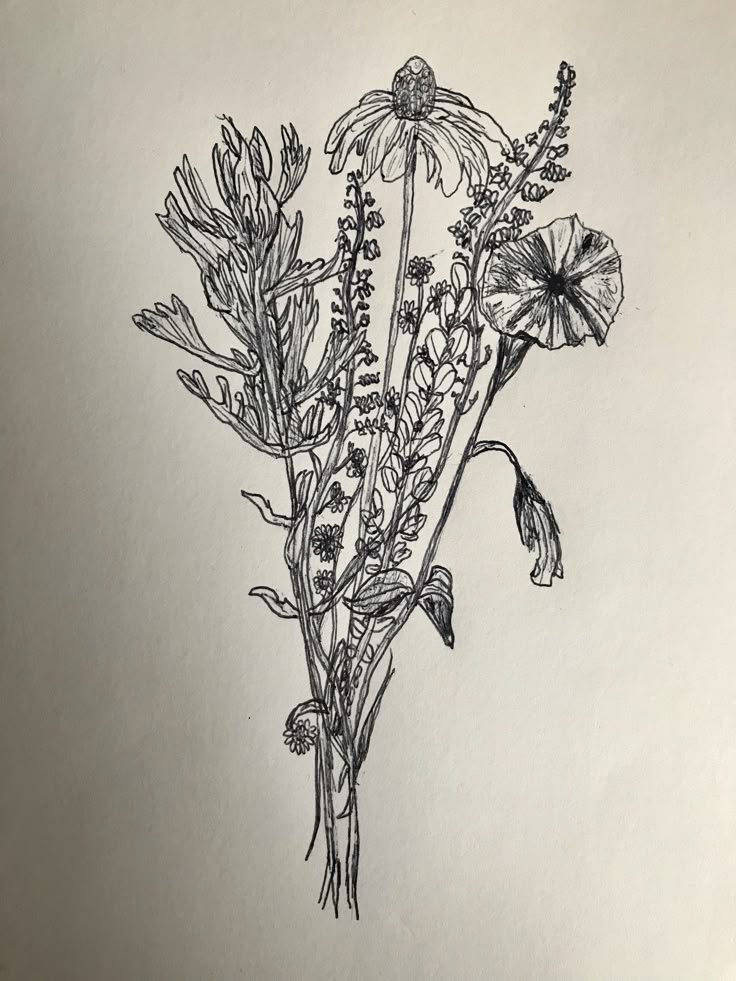 a drawing of flowers on a piece of paper