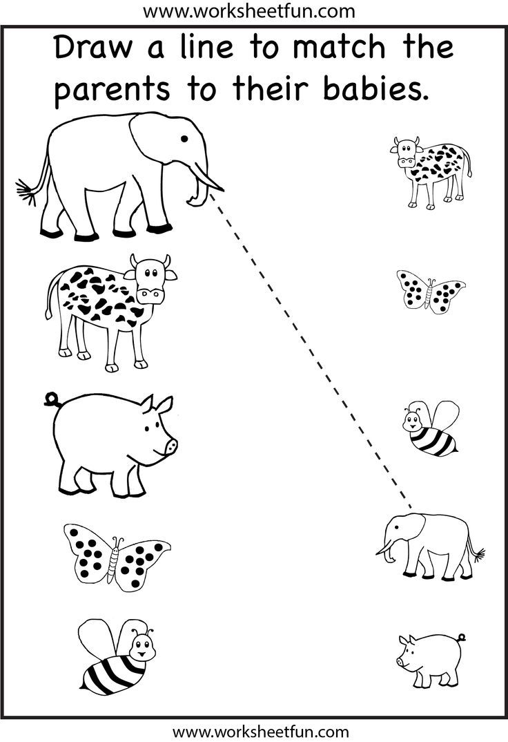 worksheet for children to learn how to draw and color the animals in their habitat