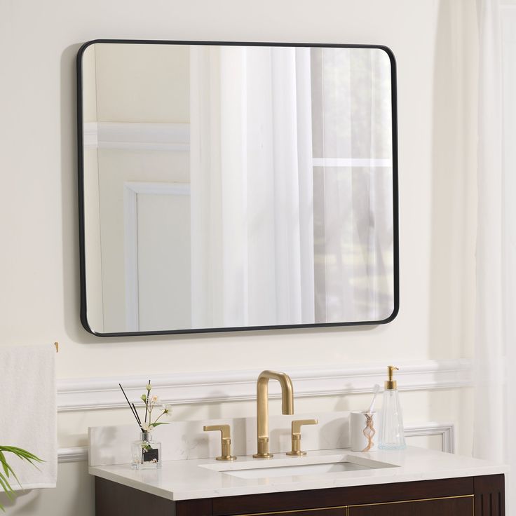 a bathroom sink with a mirror above it and a plant on the counter next to it