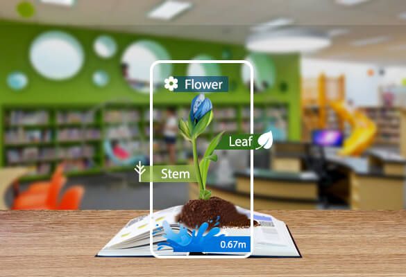 a table with a plant growing out of the ground in front of bookshelves