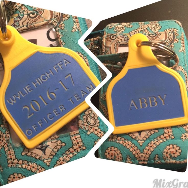 two blue and yellow luggage tags with names on them