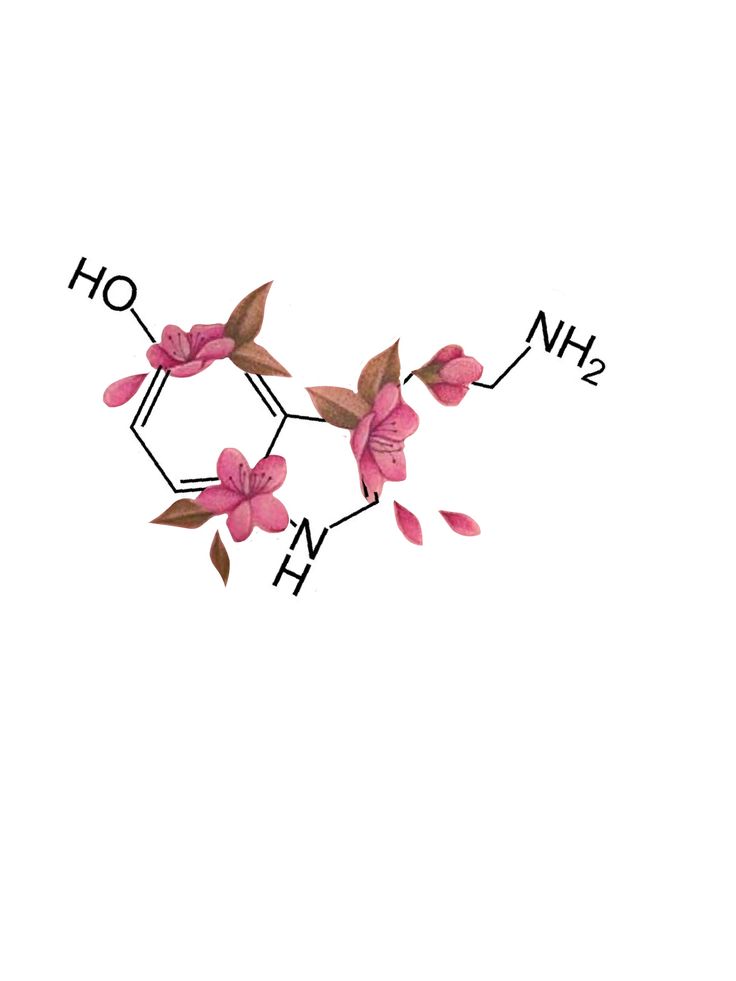 pink flowers are arranged on the side of a white background, with chemical formulas