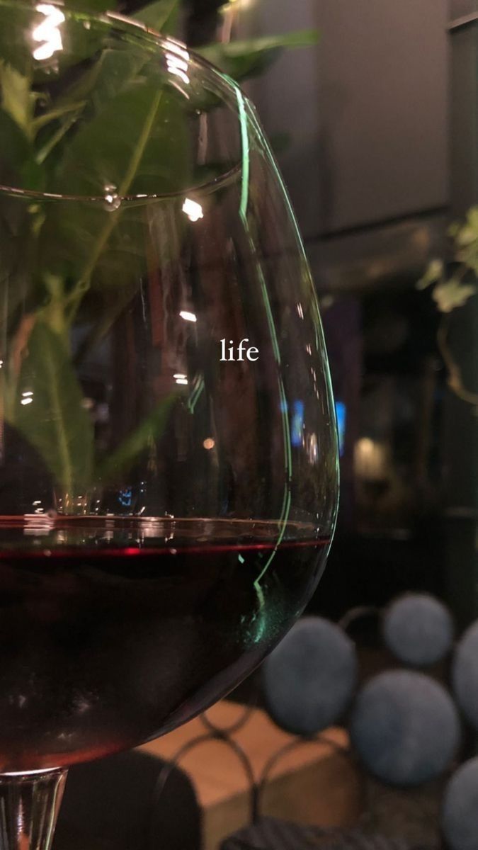 a close up of a wine glass with red wine in it and a green plant