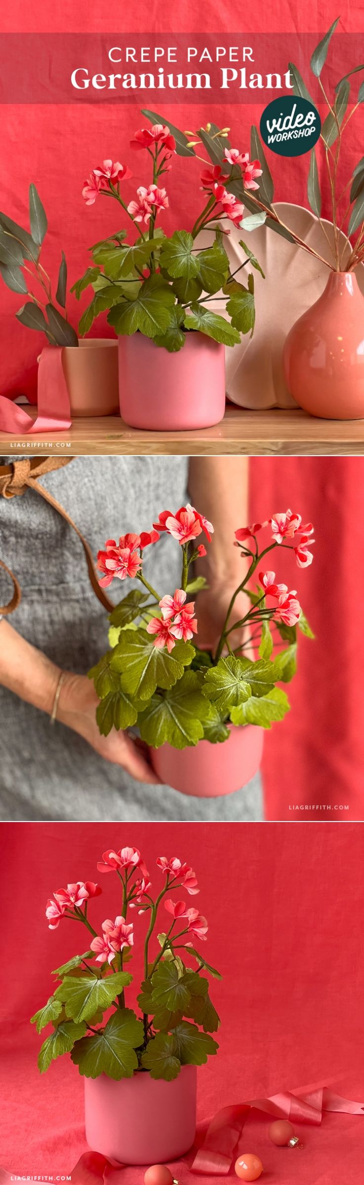 three different images of flowers in pink vases with green leaves on top and bottom