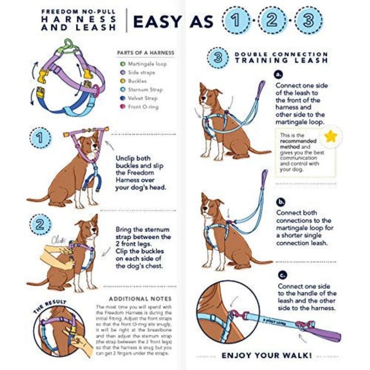 the instructions for how to use an easy leash