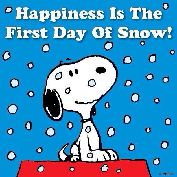 a cartoon snoopy dog sitting on top of a snow covered roof with the words, happiness is the first day of snow