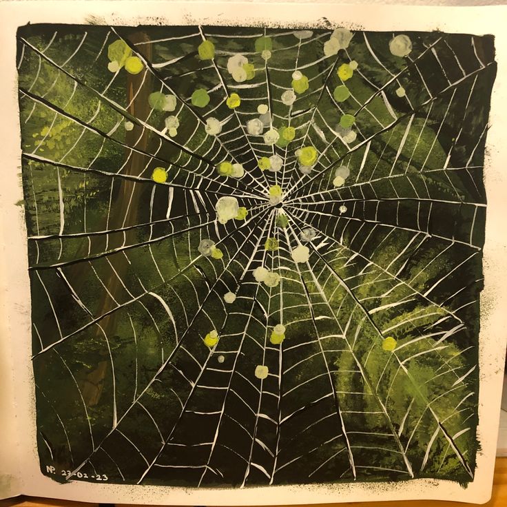 a spider web with green leaves on it