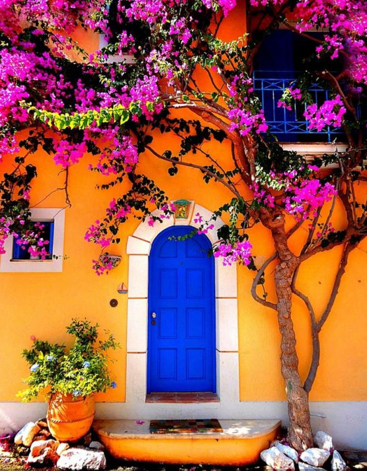 a bright blue door is in front of a yellow building with pink flowers on it