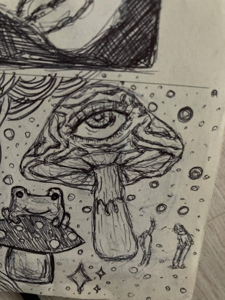 an ink drawing of a mushroom and other things