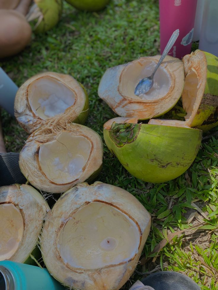 some coconuts are sitting on the grass