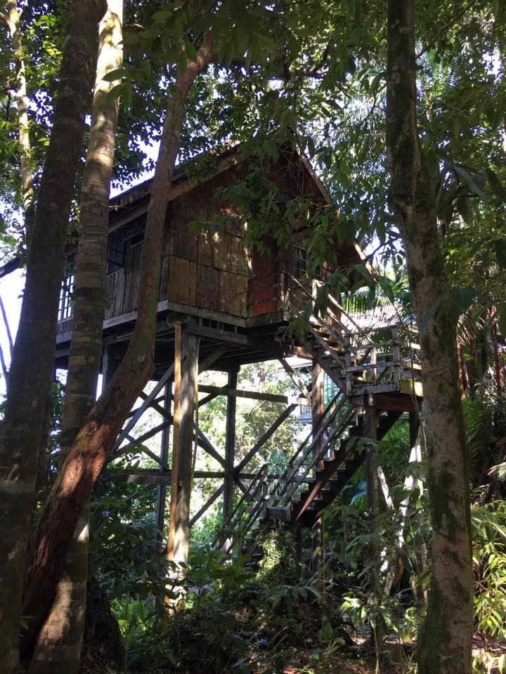 a tree house in the middle of some trees