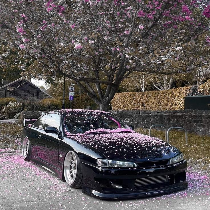 a black car with pink flowers on the hood parked in front of a flowering tree