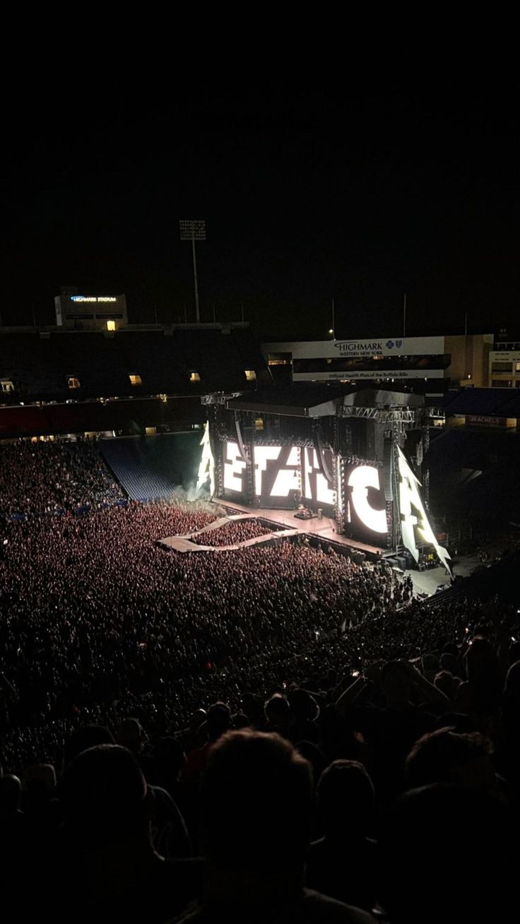 a large group of people at a concert in front of a stage with the words estric on it