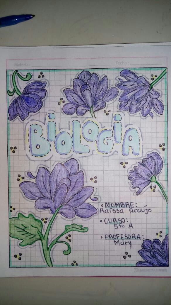 a drawing of purple flowers with the word bologna written in cursive writing on it