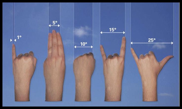 four hands are shown with measurements for each finger and the other hand is pointing up