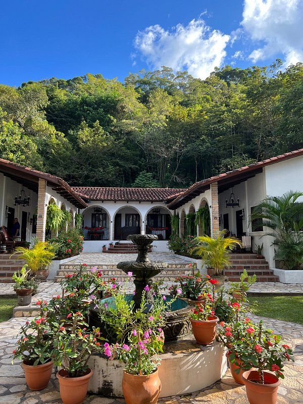 a house with many potted plants in front of it