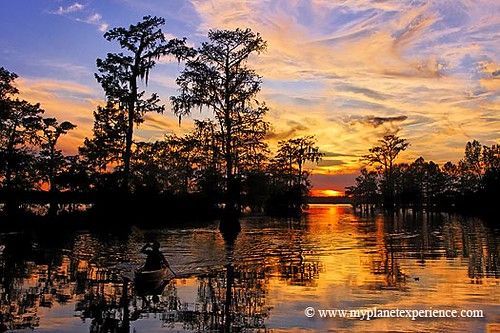 the sun is setting over some trees and water