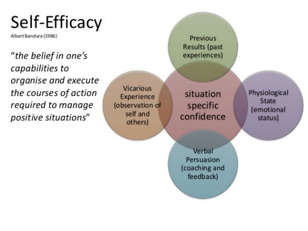 four circles with the words self - efficiency in each one's capabilities to organize and execute the course of action required to manage