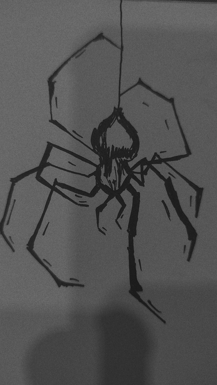 a drawing of a spider on the wall