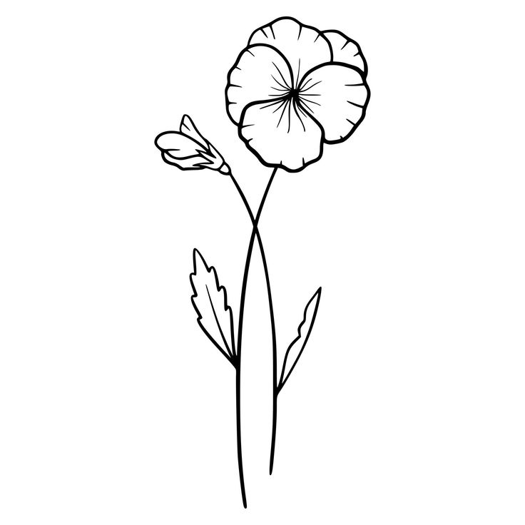 the outline of a flower on a white background