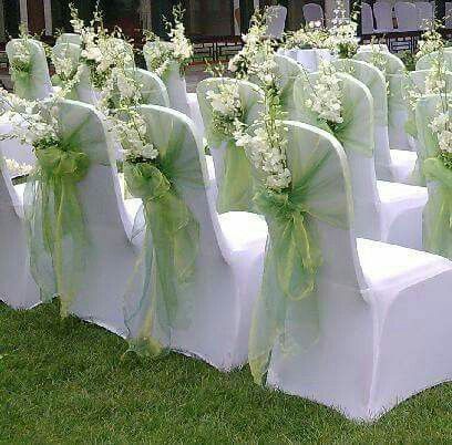 rows of white chairs with green sashes and flowers on them in front of a building