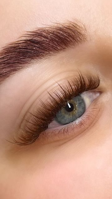 Natural Full Lashes Extensions, Y Lash Extensions, Light Eye Lash Extensions, Brown Eye Lashes Extensions, Brown Eyelash Extensions Natural, Wispy Brown Eyelash Extensions, Brown Eyelashes Extensions, Ginger Lash Extensions, Brown Hybrid Lash Extensions