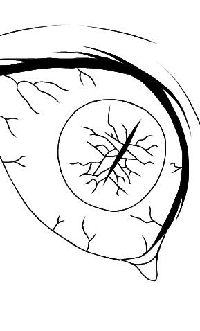 the inside of an eye is shown in black and white, as if it were drawn with