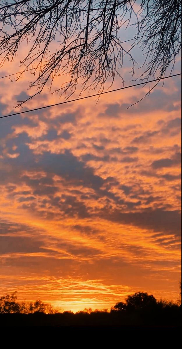 the sun is setting behind some trees and branches in front of an orange sky with clouds