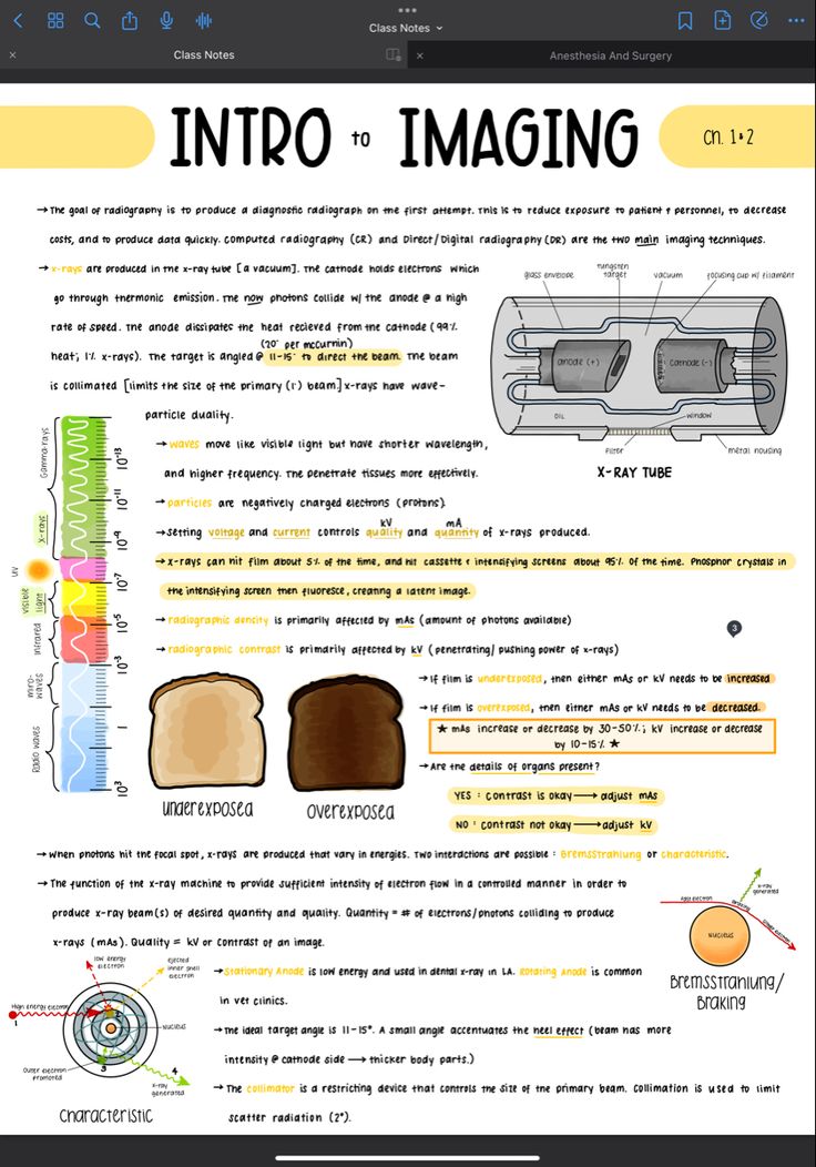 a computer screen showing an info page with different types of bread and other things on it