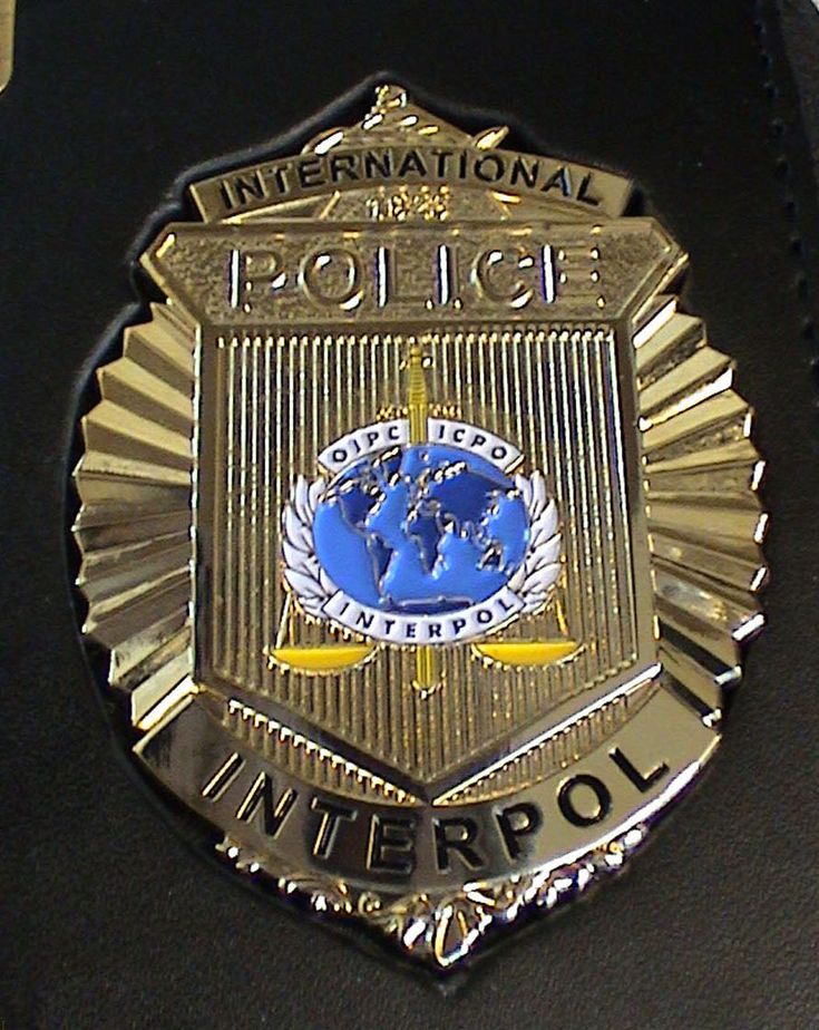 a police badge is shown on the back of a black leather jacket with gold trim