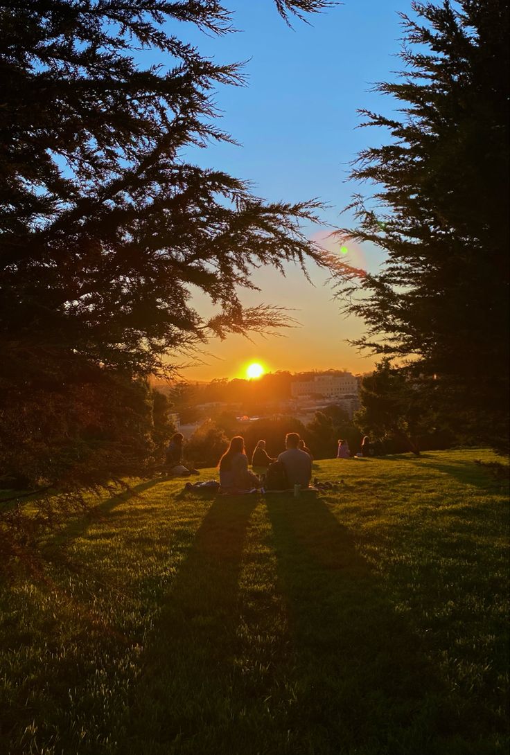 people are sitting on the grass at sunset