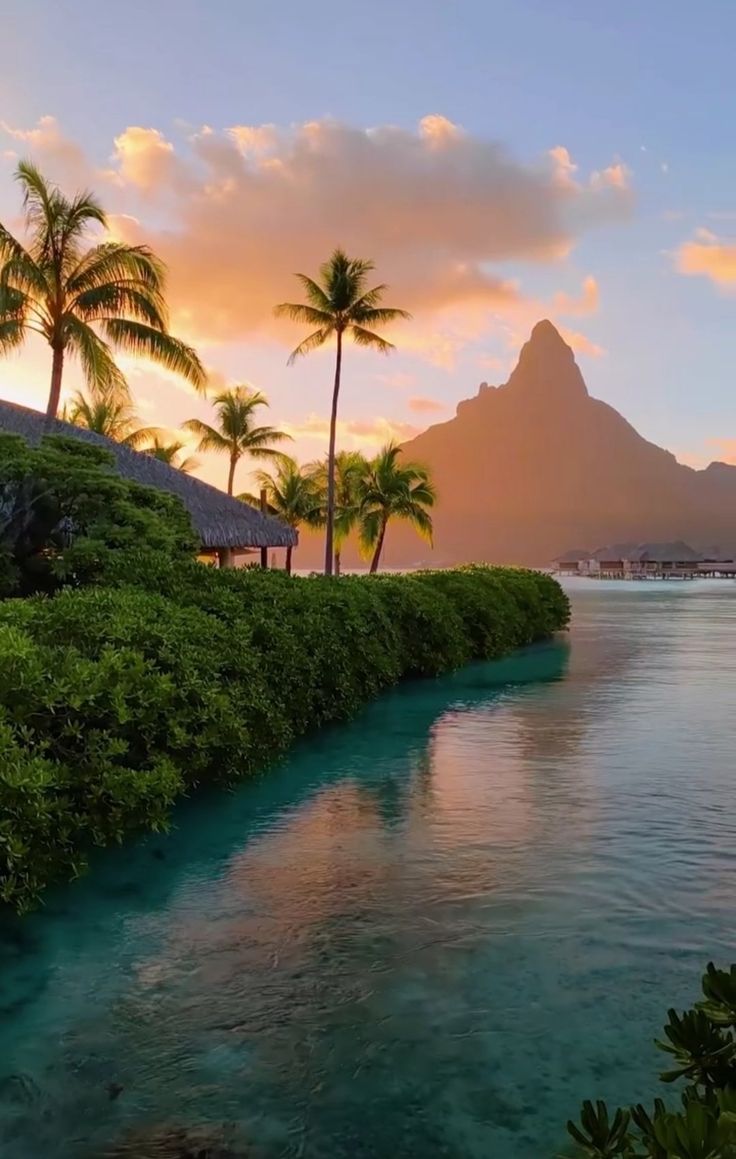 the water is crystal blue and there are palm trees in front of it at sunset