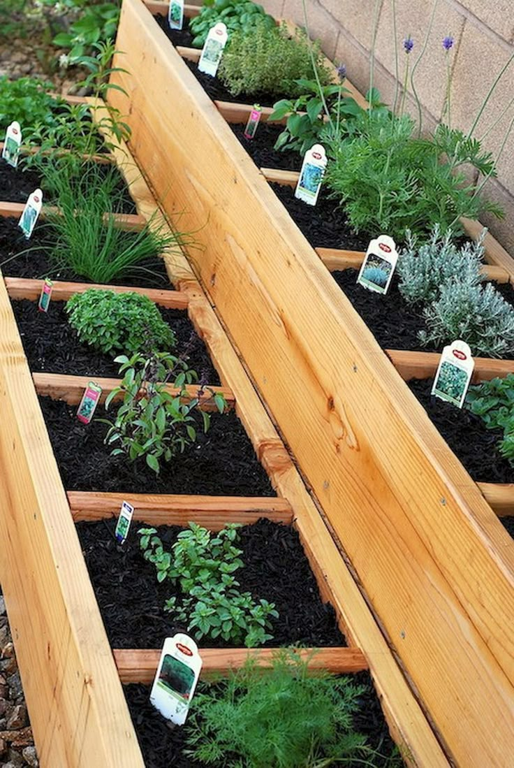 an outdoor garden with wooden planters filled with plants and seed packets attached to them