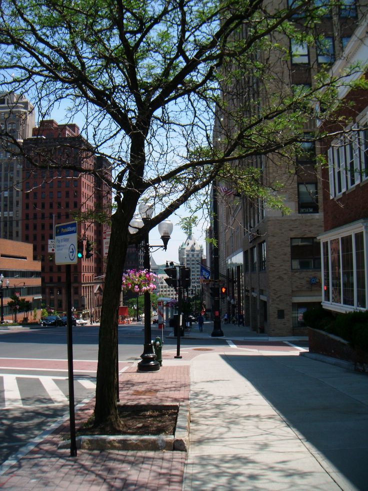 a tree on the side of a city street