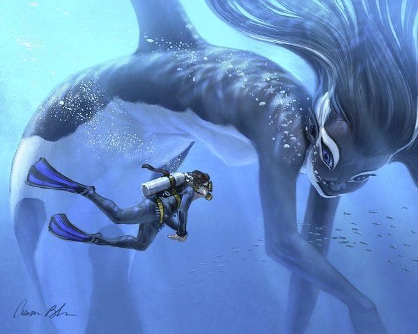 a woman diving next to a large whale in the ocean with caption that reads, a big killer whale mermaid for your daily needs monster girls