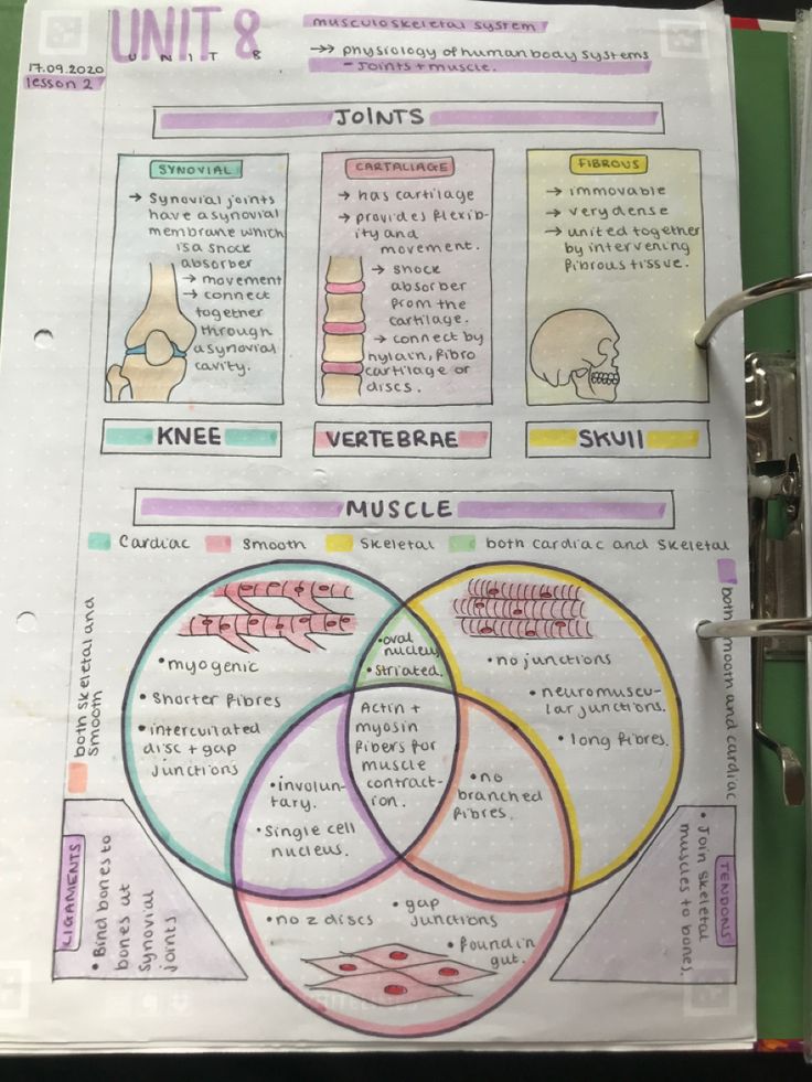 the verture diagram is on top of a binder in front of an open book