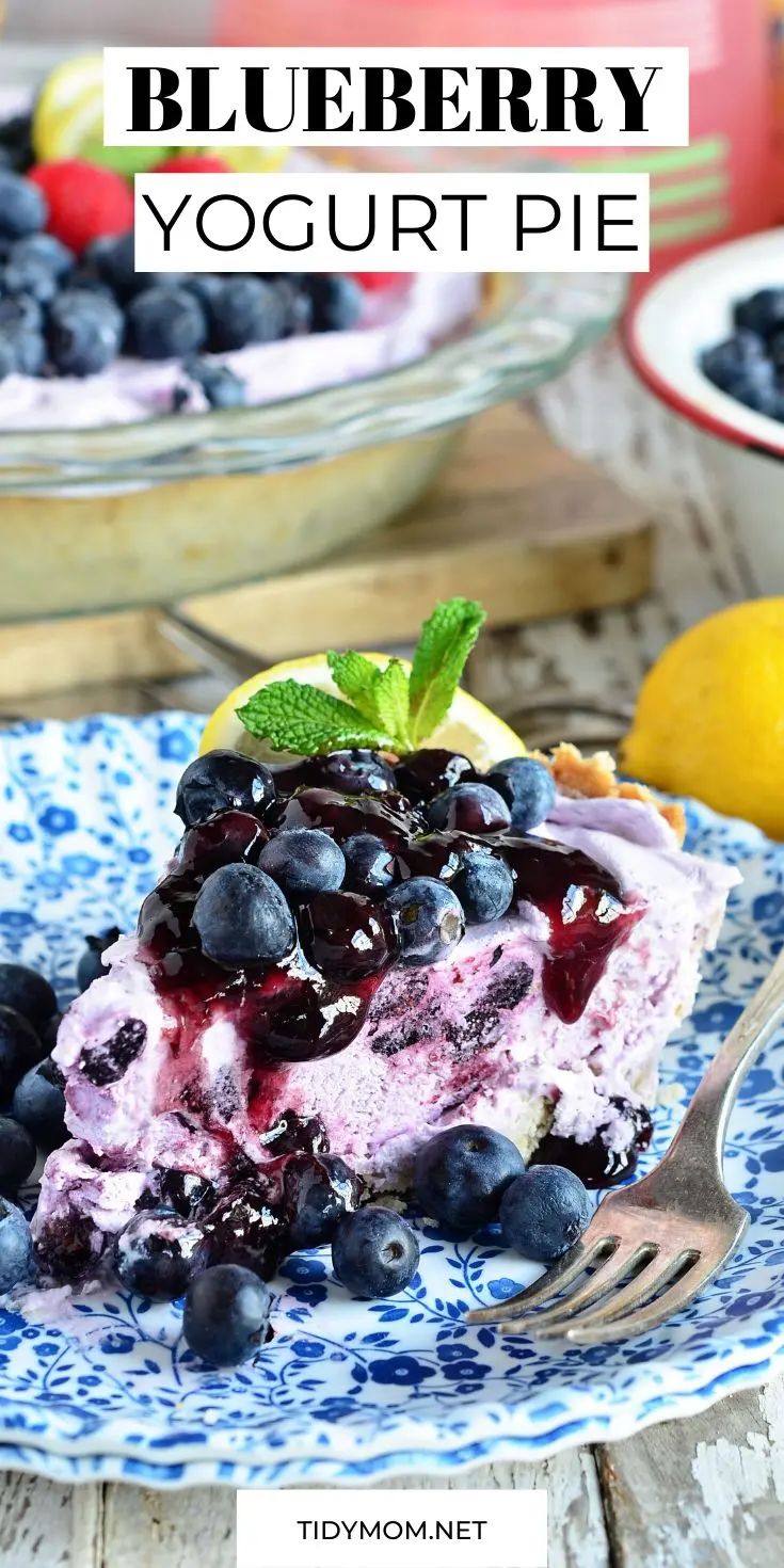 blueberry yogurt pie on a plate with a fork and bowl of fruit in the background