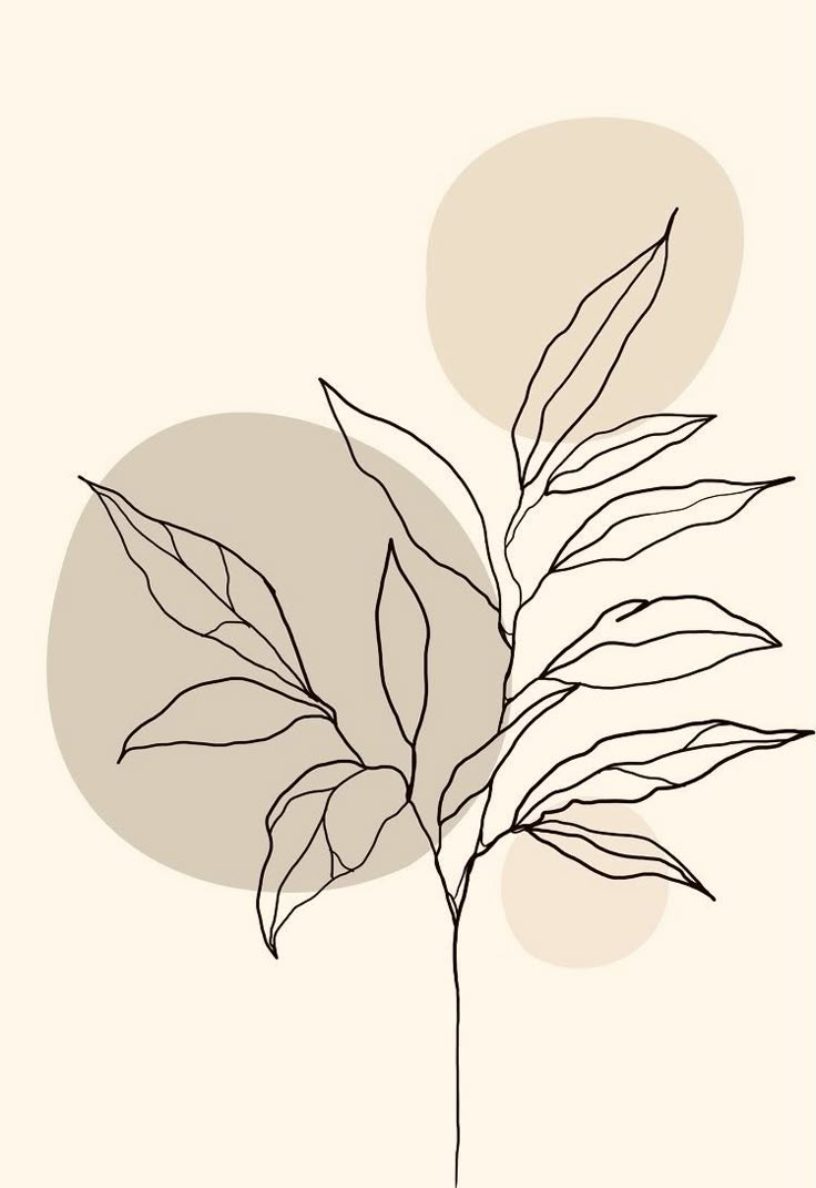 a black and white drawing of a plant