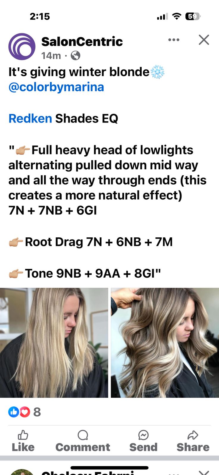 Redken Vg Shades Eq, Low Light Shades Eq Formula, Redken Level 8 Blonde Formula, 9m Shades Eq, Toner Formulas For Brassy Hair, Shades Eq Brunette Formulas, Lanza Hair Color, Bleach Techniques, Brunette Formulas