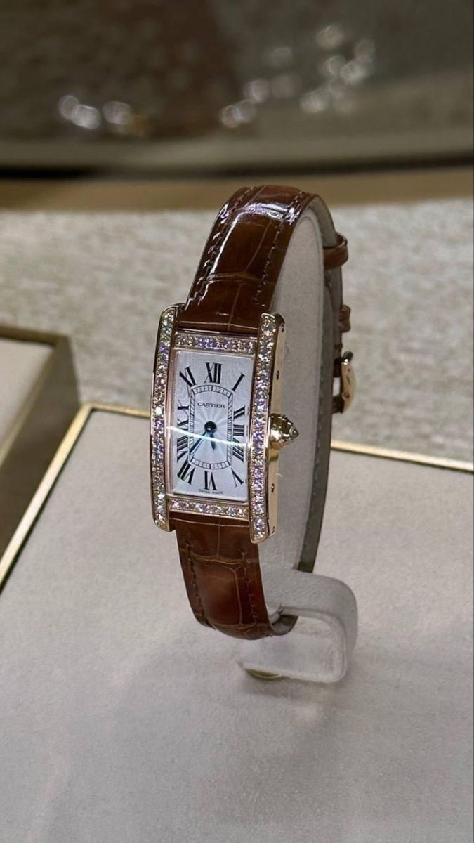 Watches Cartier, Dope Jewelry Accessories, Products Aesthetic, Rolex Watches Women, Brown Watches, Vintage Watches Women, Aesthetic Skincare, Expensive Jewelry Luxury, Luxe Jewelry