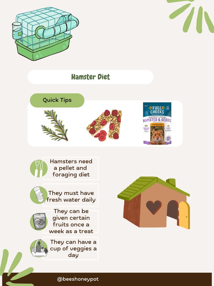 an info sheet describing the benefits of hamster diets and how to use it