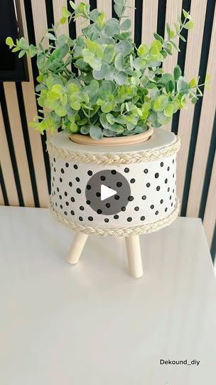 a potted plant sitting on top of a white table next to a black and white striped wall