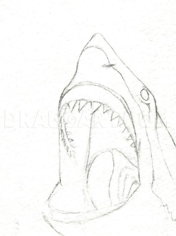 a drawing of a shark with its mouth open