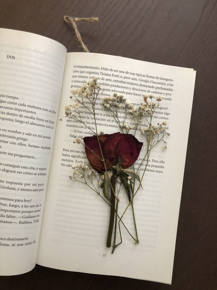 an open book with dried flowers on it