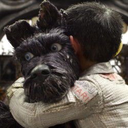 a man hugging a dog in front of a mirror with his head on the back of it