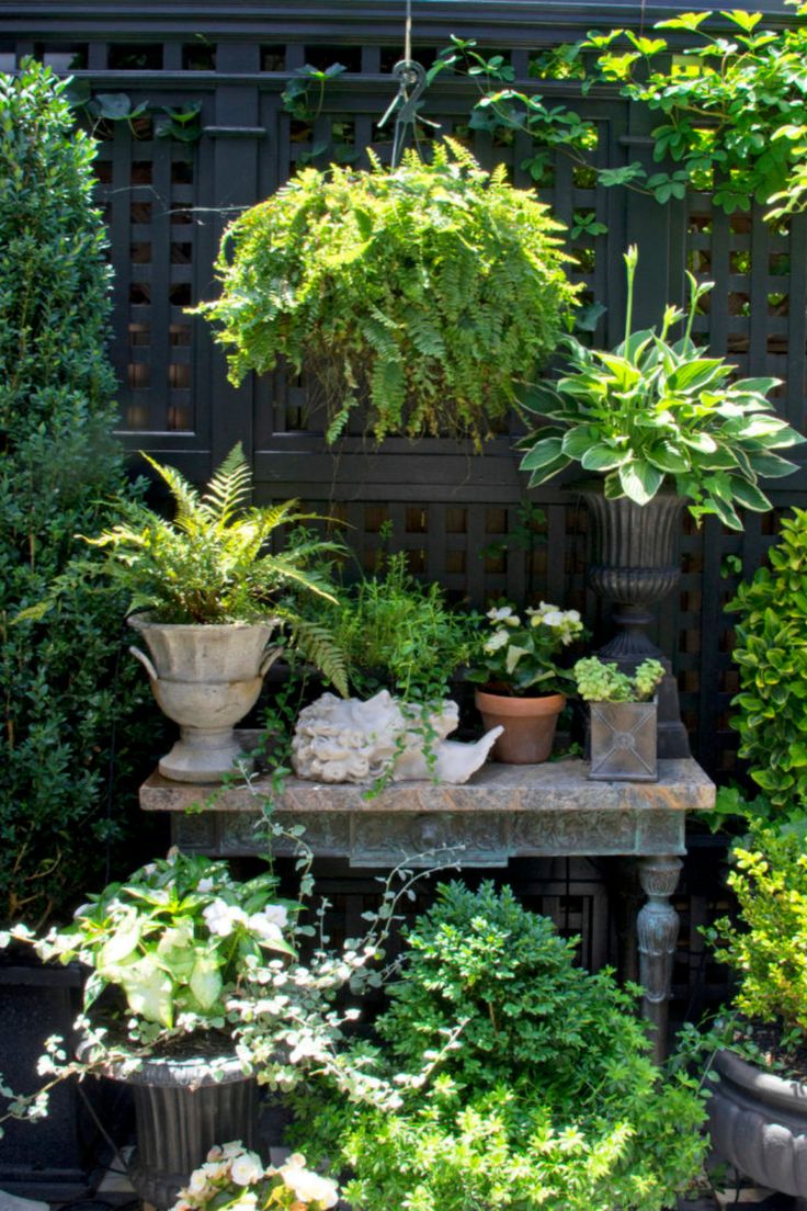 an assortment of potted plants in front of a black fence and wooden table with pots on it