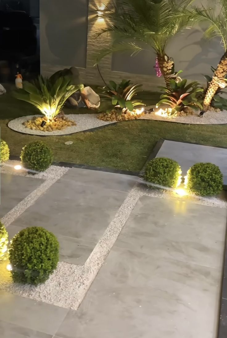 an outdoor area with plants and lights on the ground