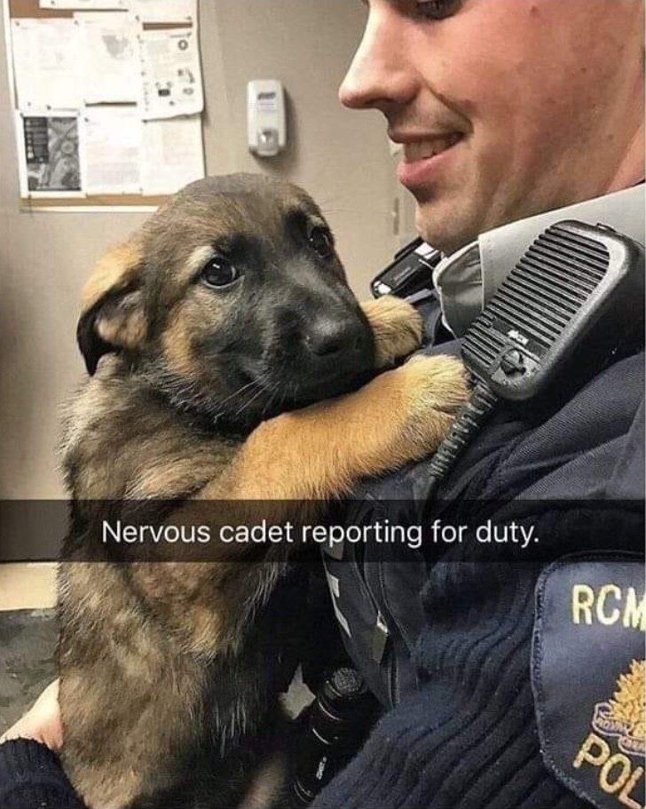 a man holding a puppy in his lap with the caption nervous cage reporting for duty